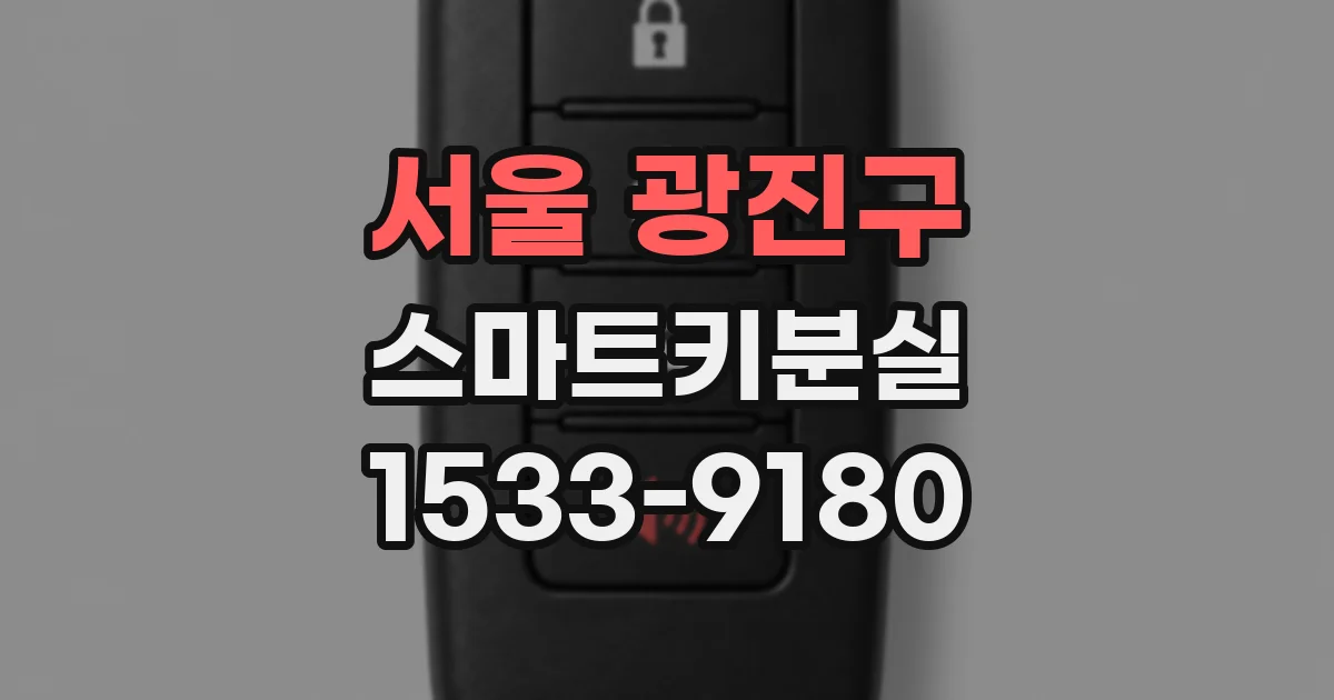 서울 광진구 스마트키분실