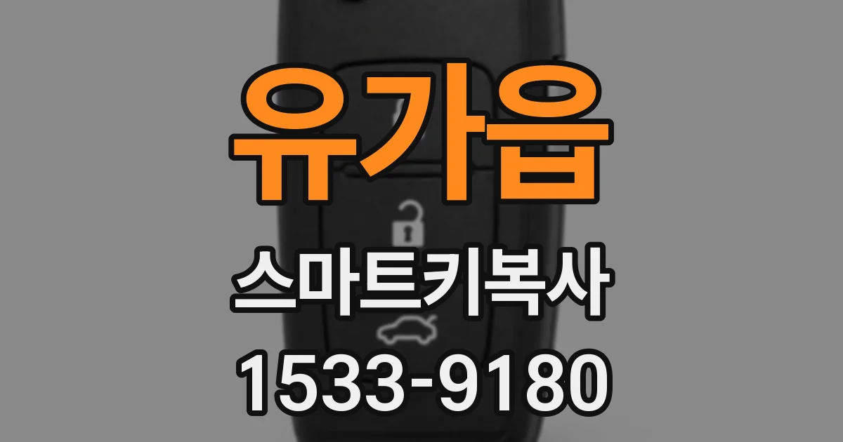 유가읍 스마트키복사