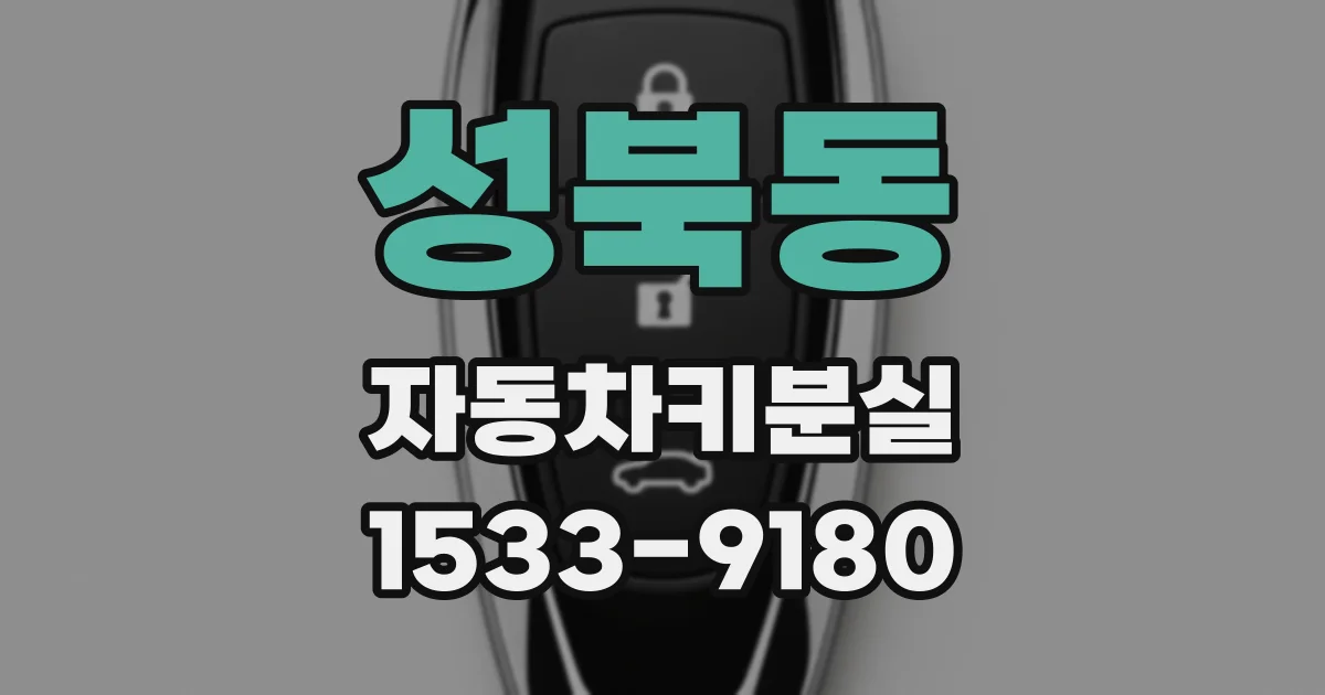 성북동 자동차키분실