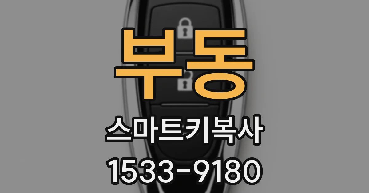 부동 스마트키복사