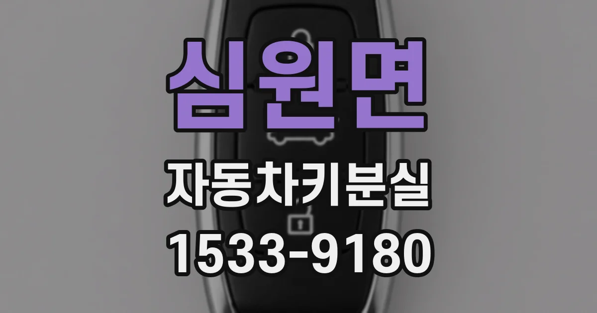 심원면 자동차키분실