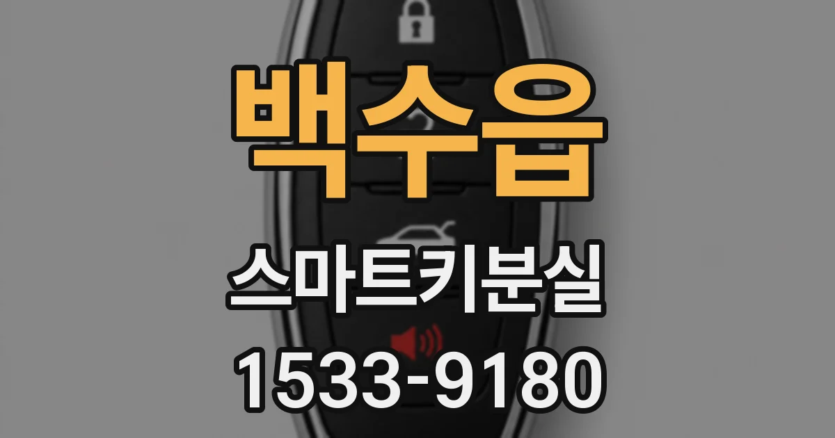 백수읍 스마트키분실