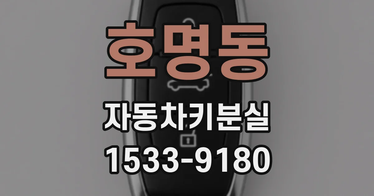 호명동 자동차키분실
