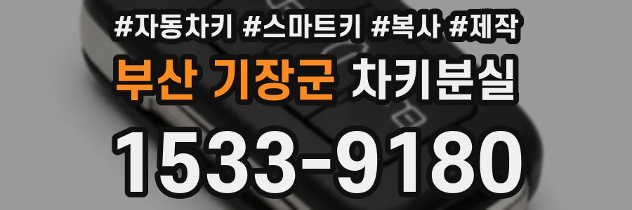 부산 기장군 차키분실