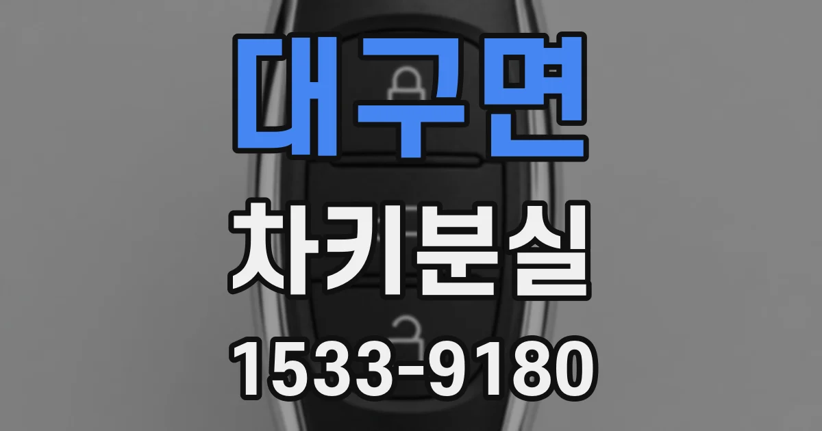 대구면 차키분실