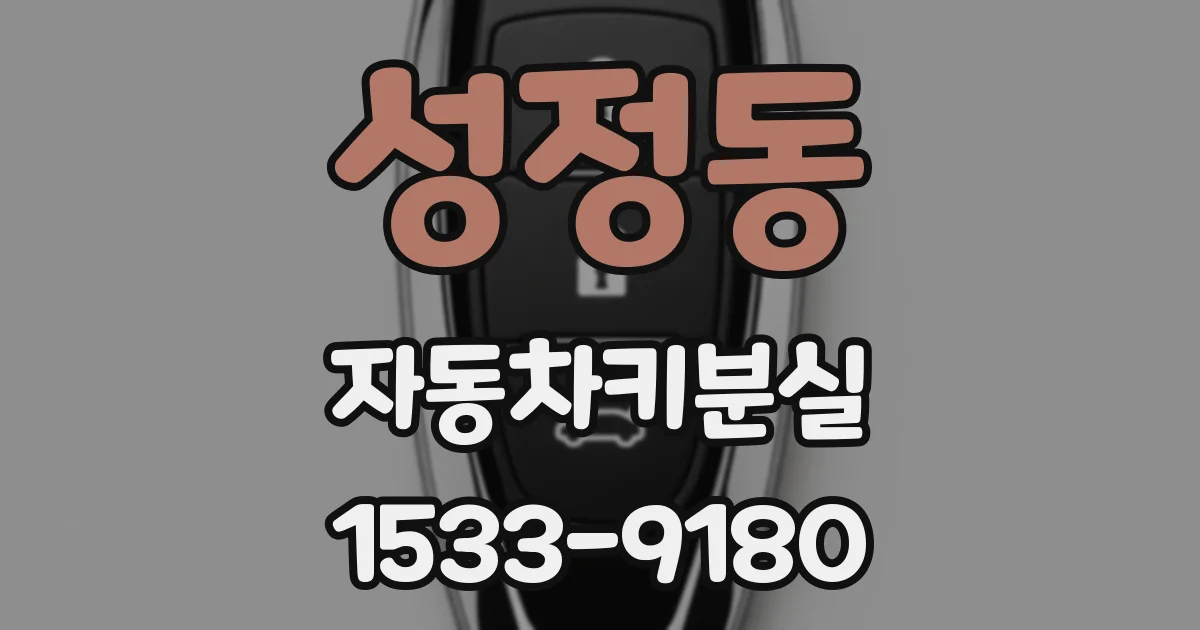 성정동 자동차키분실