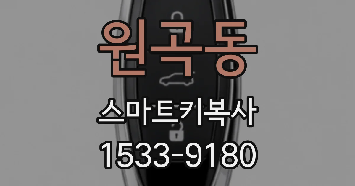 원곡동 스마트키복사