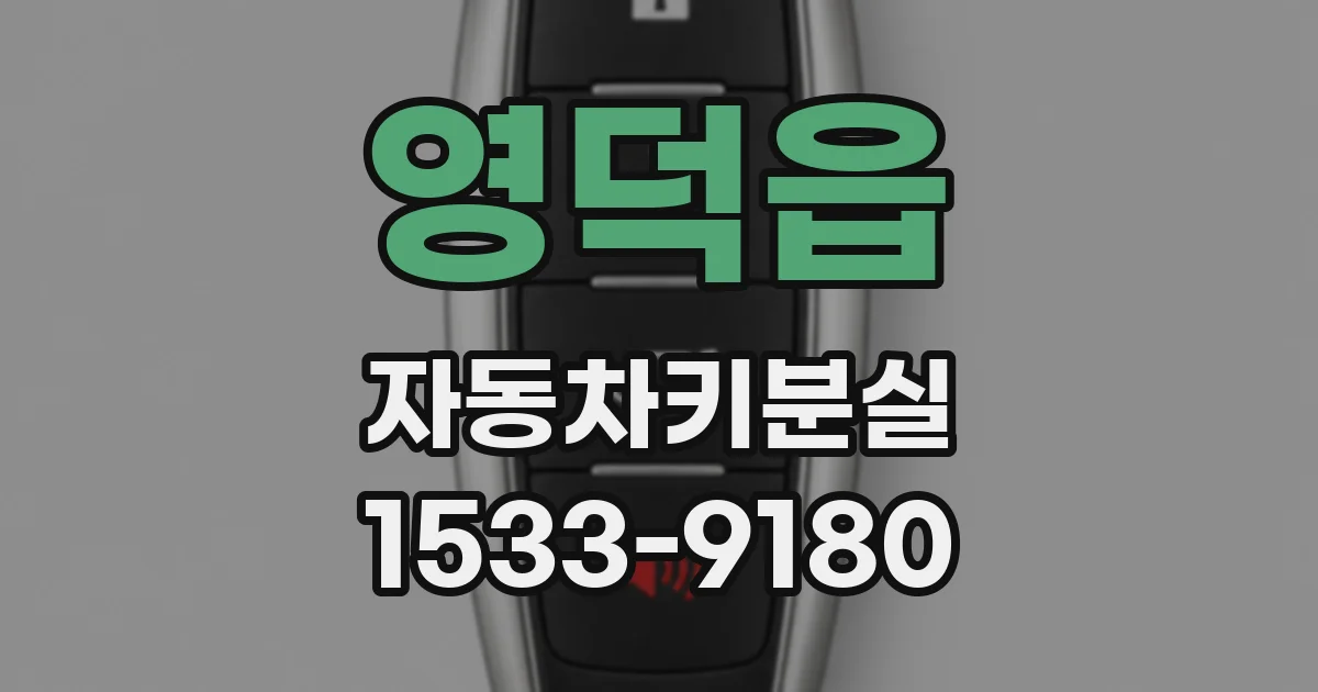 영덕읍 자동차키분실