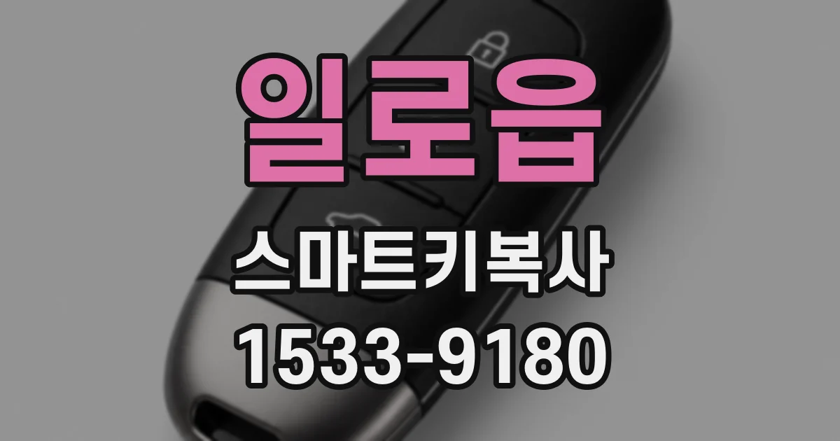 일로읍 스마트키복사