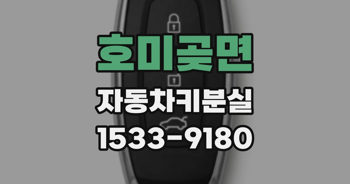 호미곶면 자동차키분실