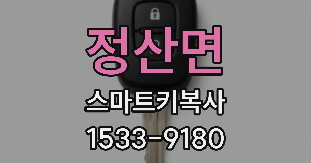 정산면 스마트키복사