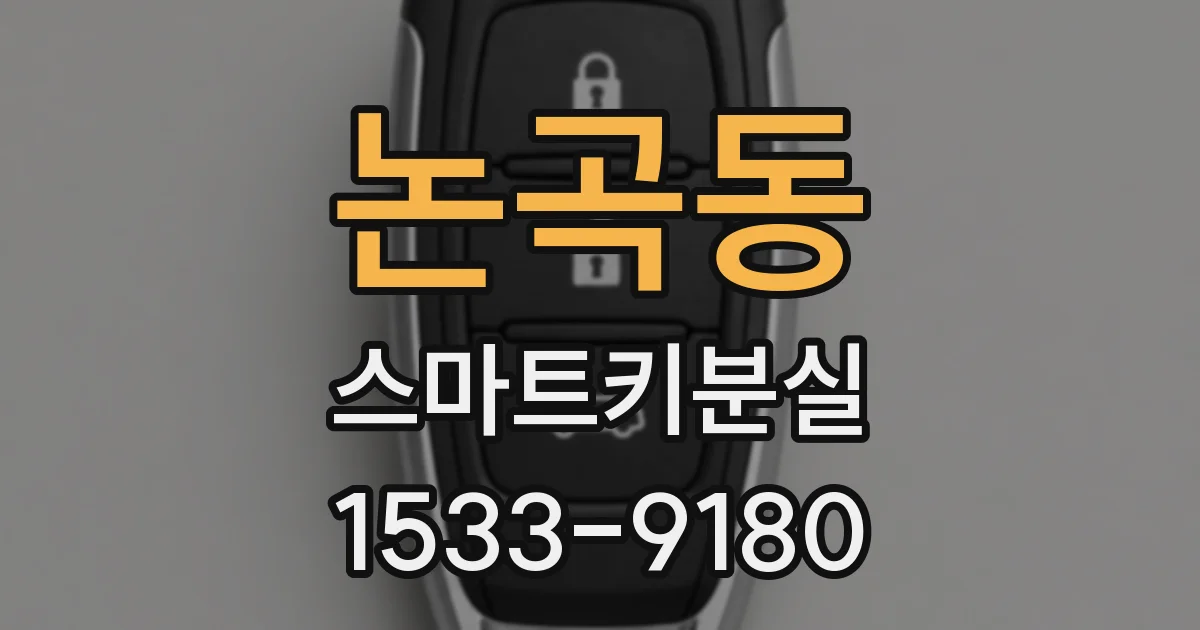 논곡동 스마트키분실