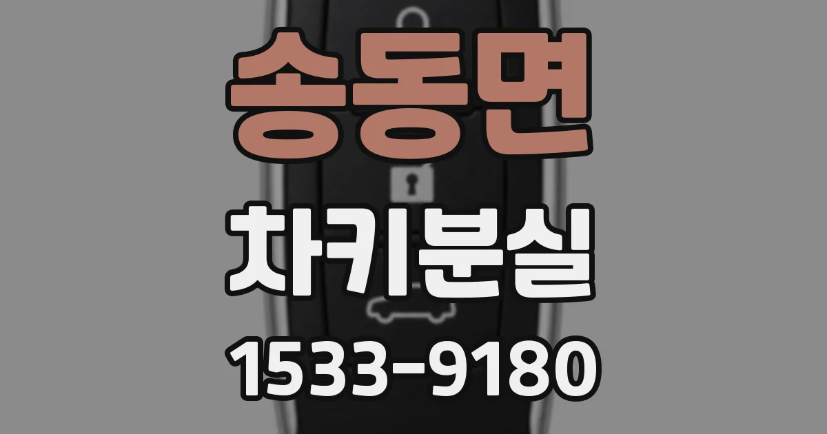 송동면 차키분실