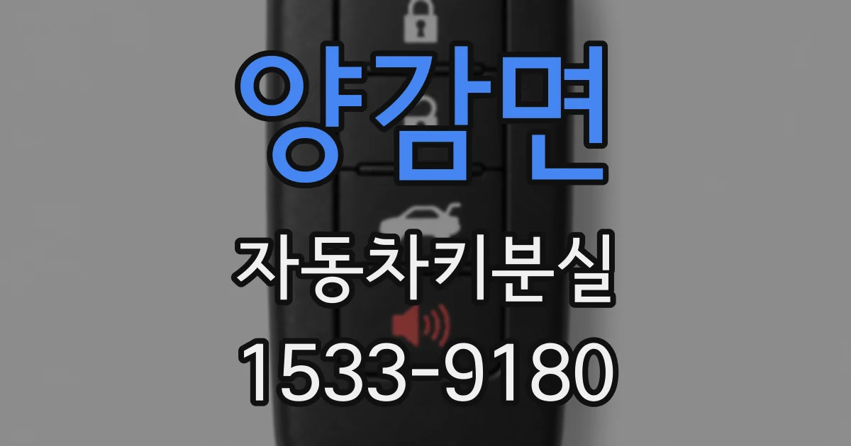 양감면 자동차키분실