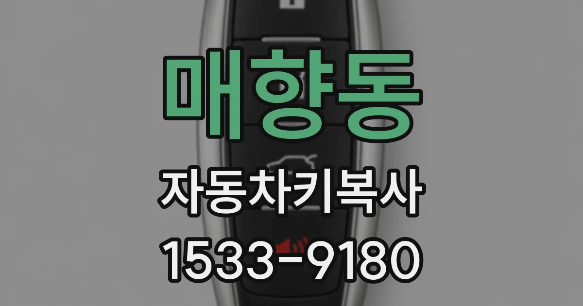 매향동 자동차키복사