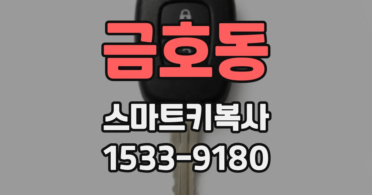 금호동 스마트키복사