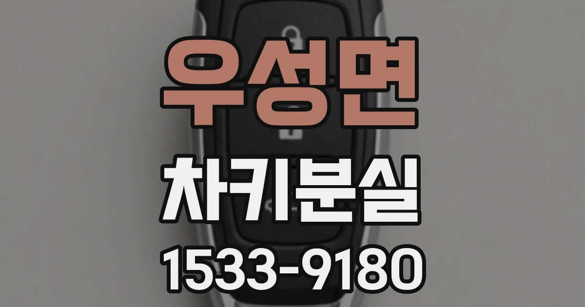 우성면 차키분실