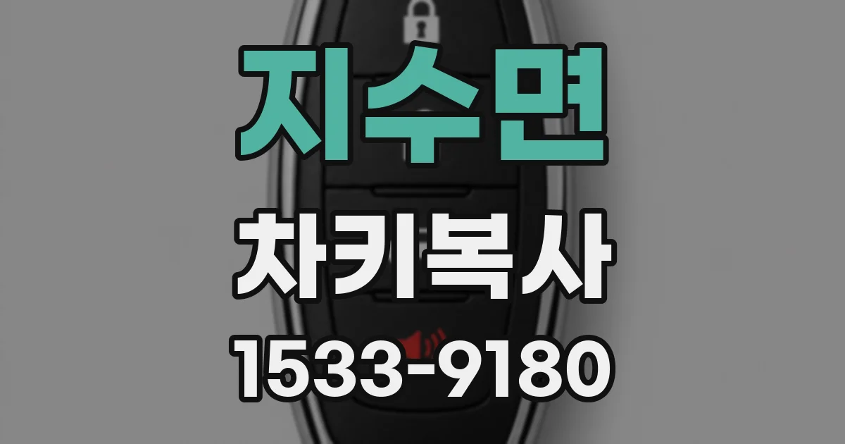 지수면 차키복사