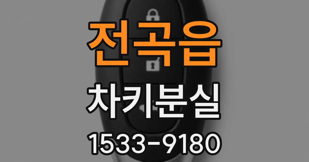 전곡읍 차키분실
