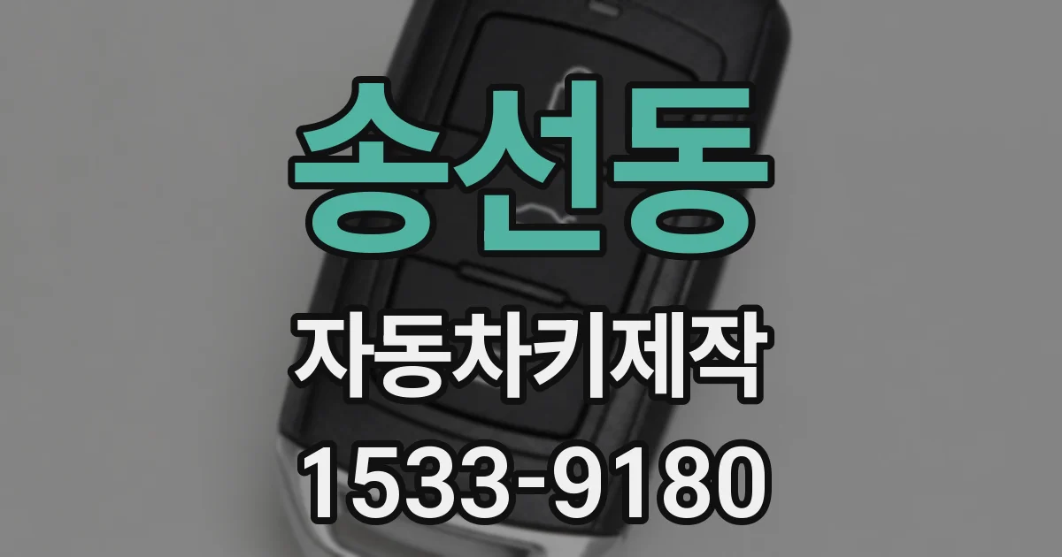 송선동 자동차키제작