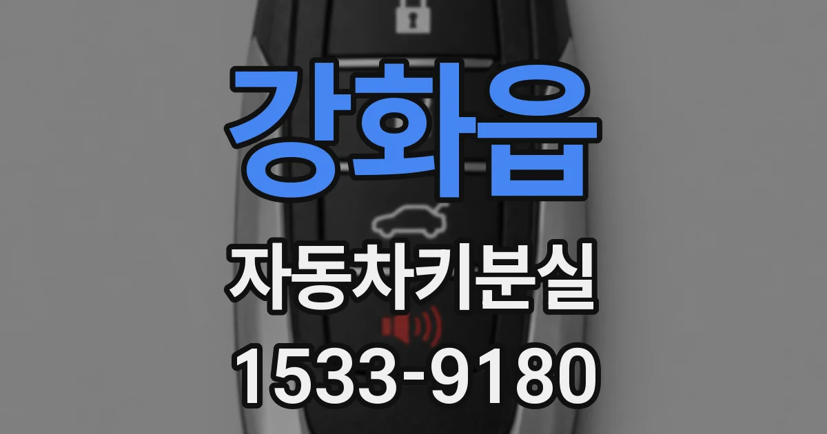 강화읍 자동차키분실