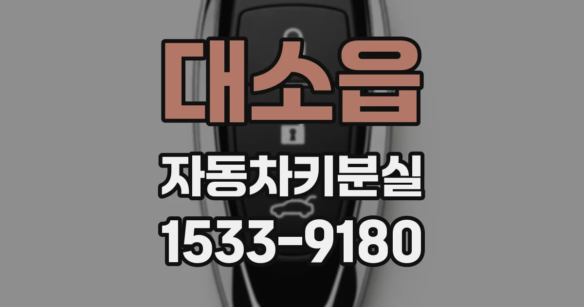 대소읍 자동차키분실