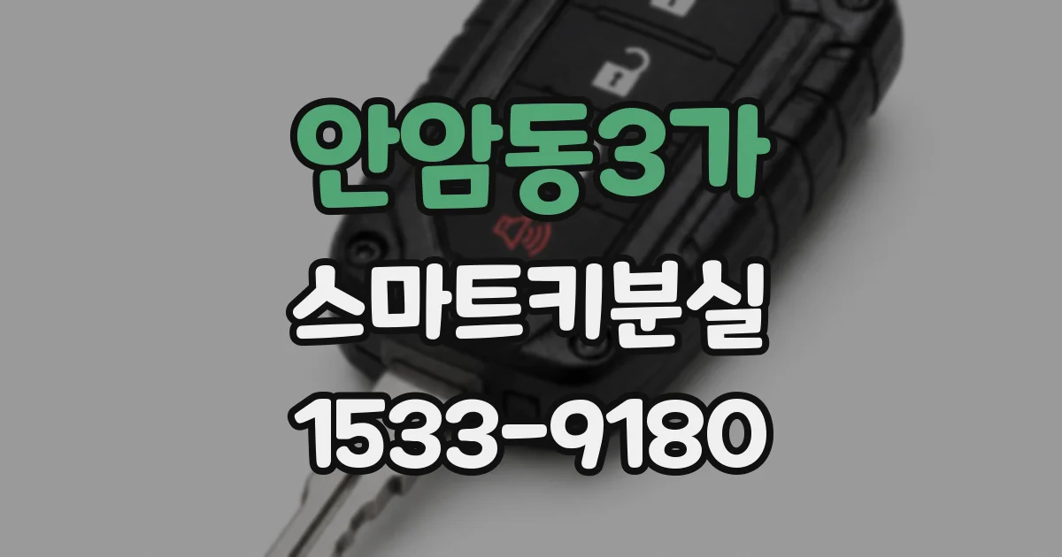 안암동3가 스마트키분실