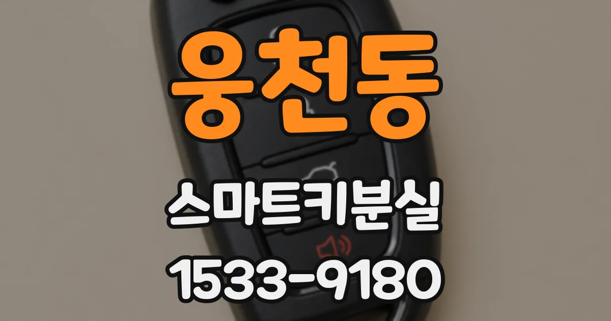 웅천동 스마트키분실