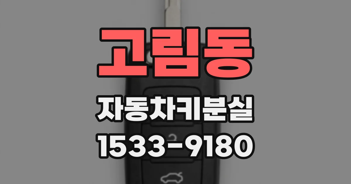 고림동 자동차키분실