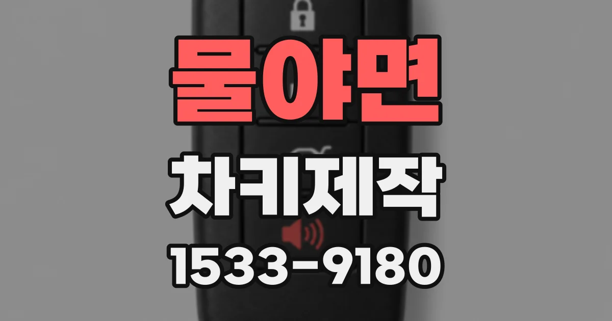 물야면 차키제작