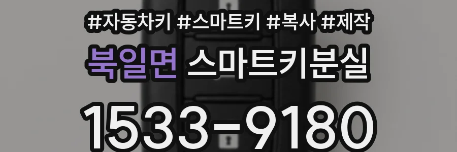 북일면 스마트키분실