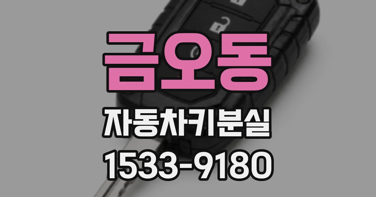 금오동 자동차키분실