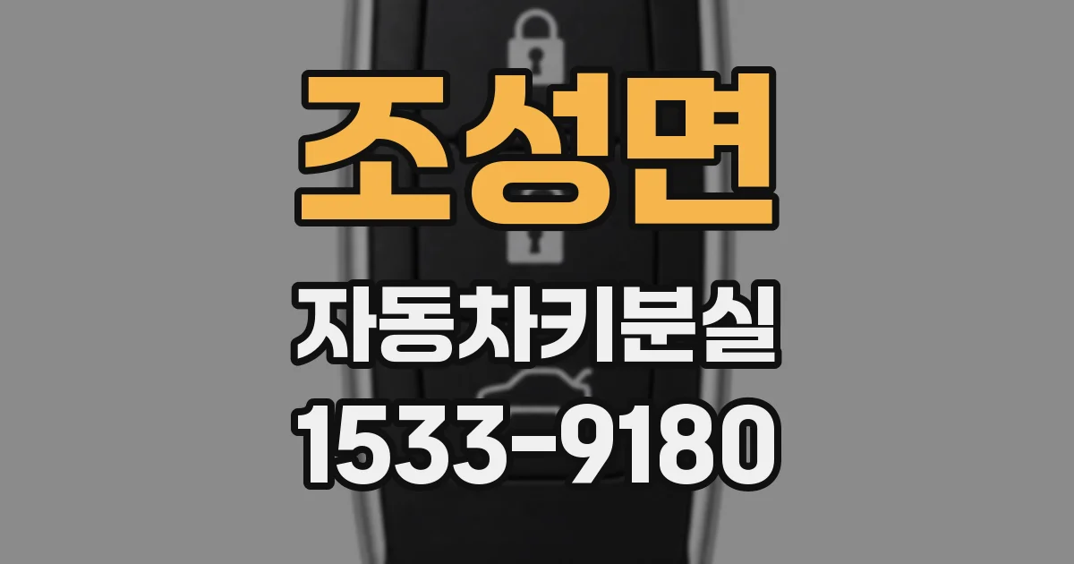 조성면 자동차키분실
