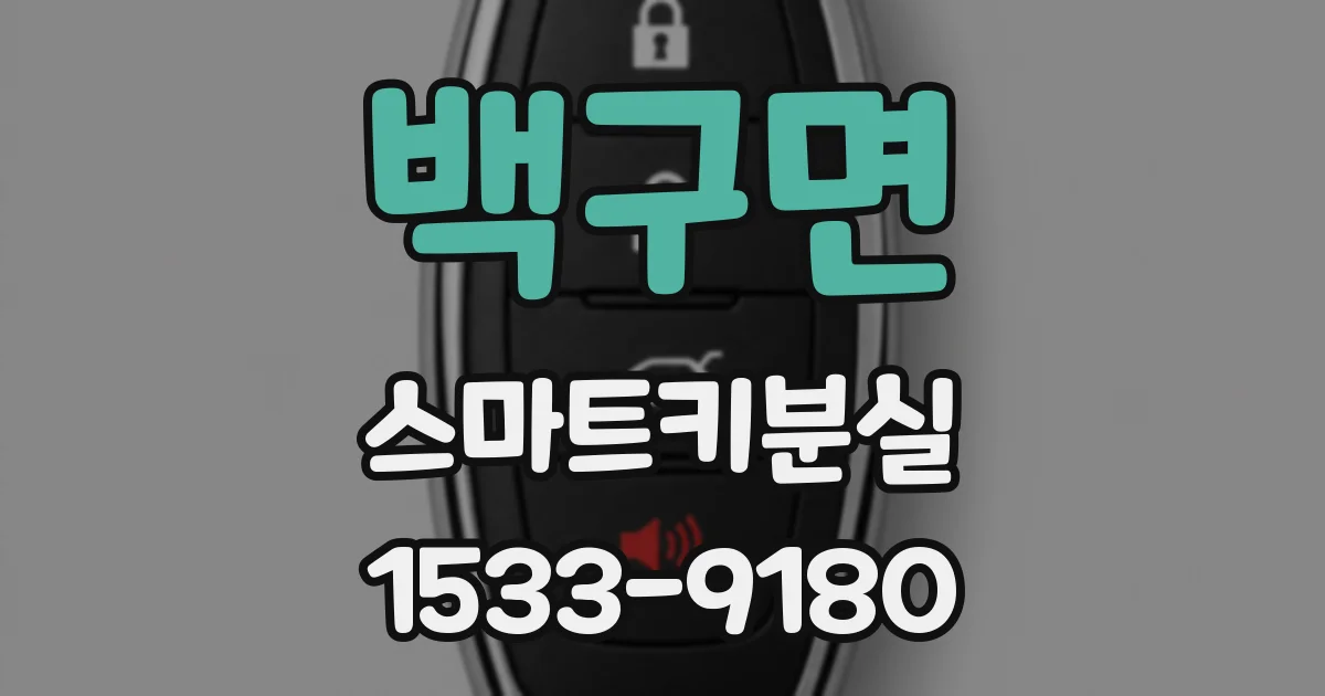 백구면 스마트키분실