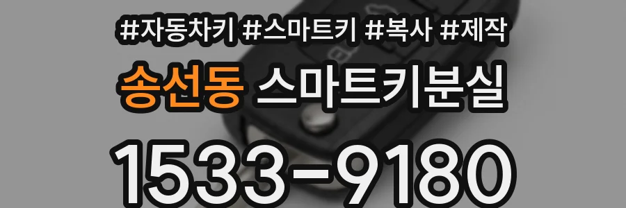 송선동 스마트키분실