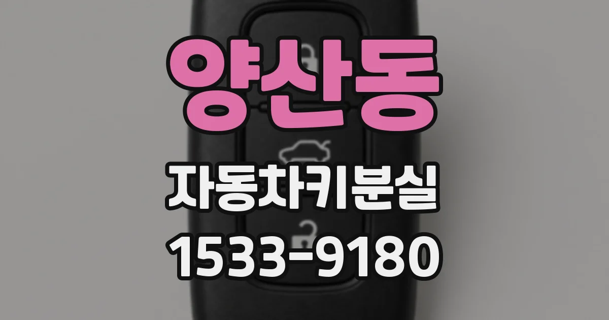 양산동 자동차키분실