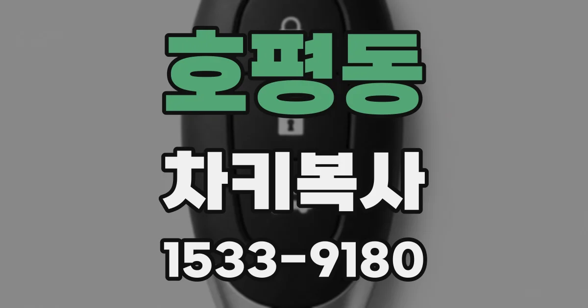 호평동 차키복사