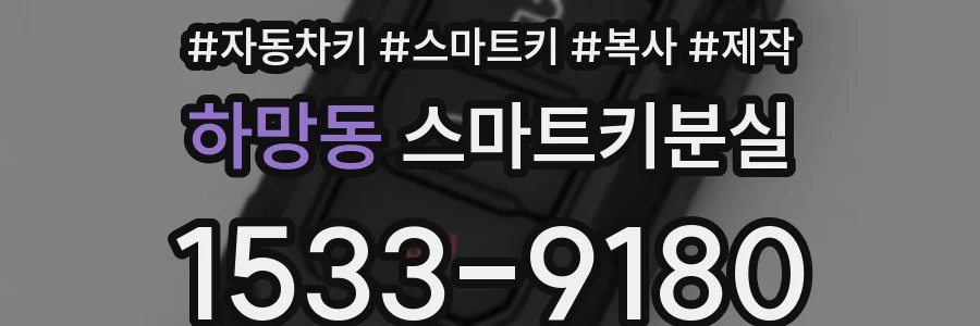 하망동 스마트키분실