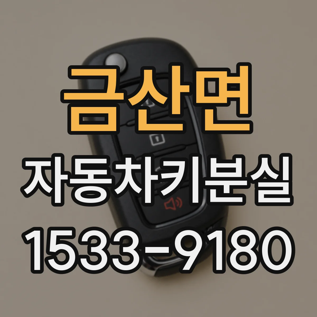금산면 자동차키분실