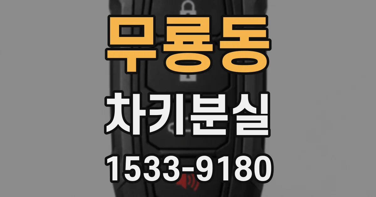 무룡동 차키분실