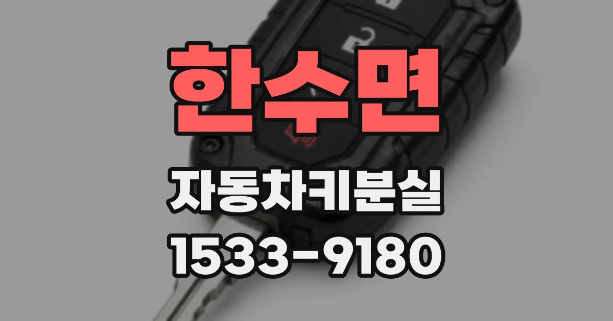 한수면 자동차키분실