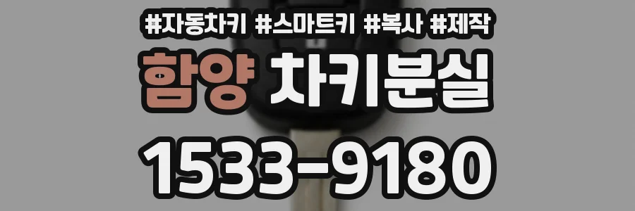 함양 차키분실