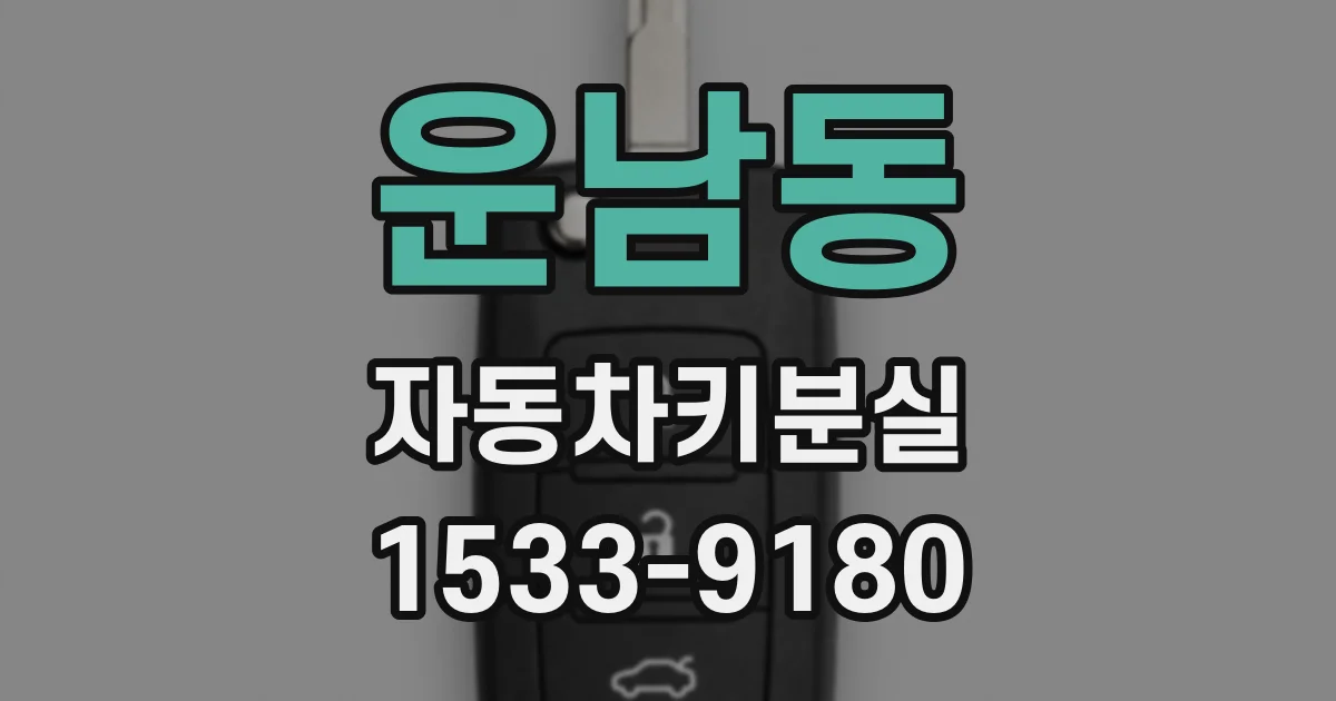 운남동 자동차키분실