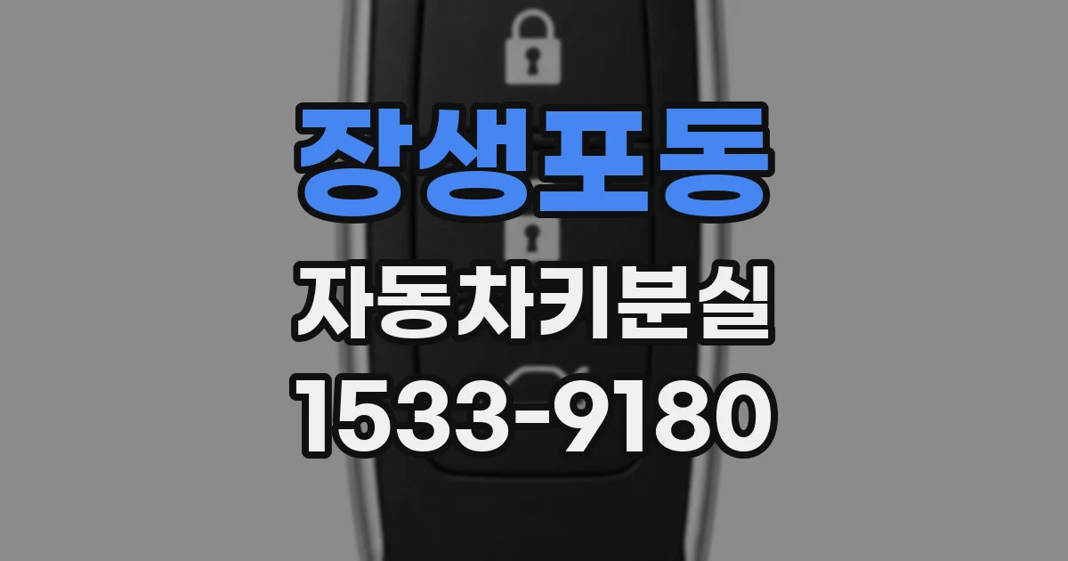 장생포동 자동차키분실