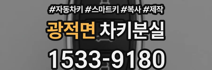 광적면 차키분실