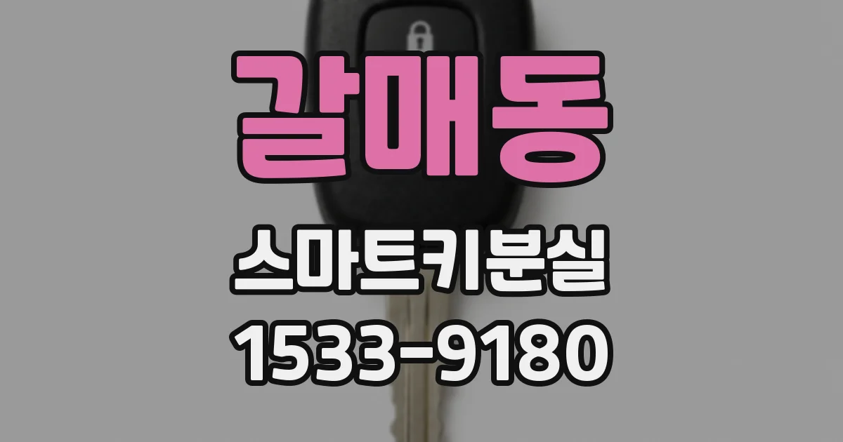 갈매동 스마트키분실