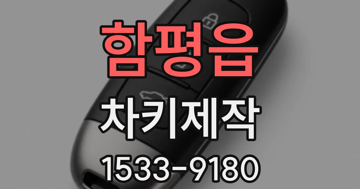 함평읍 차키제작