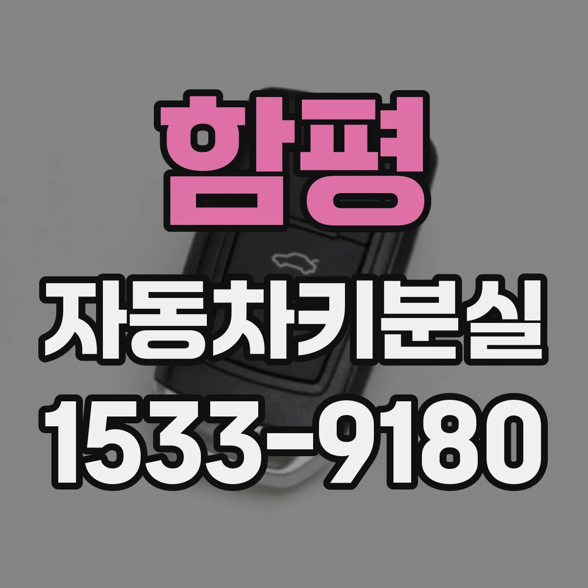 함평 자동차키분실