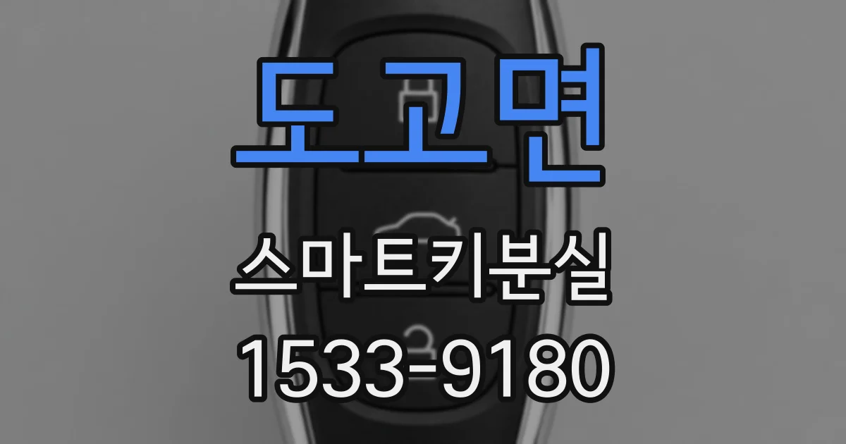 도고면 스마트키분실