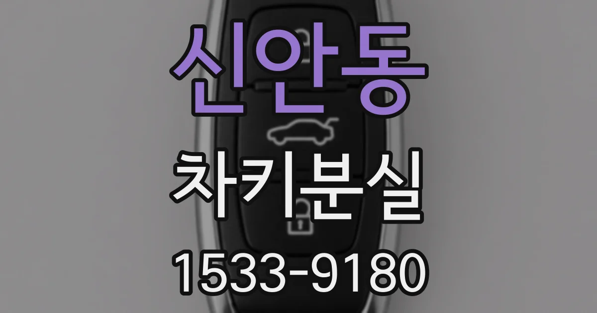 신안동 차키분실